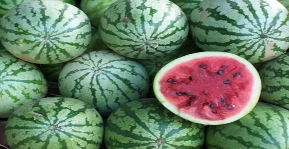 Unlocking the Health Benefits of Watermelon and Muskmelon Seeds