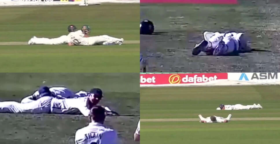 Unusual Bee Interruption Halts Worcestershire vs. Essex County Championship Match