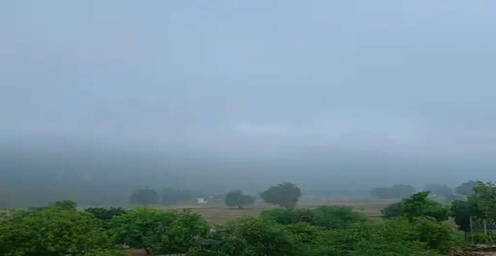 Sudden Weather Change in Rajasthan: Fog and Rain Impact Daily Life