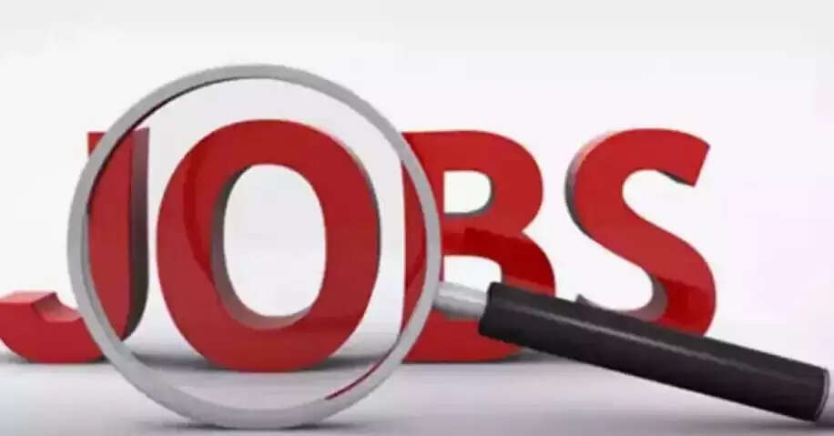 Exciting Job Opportunities in Rajasthan: 13,252 Positions Available