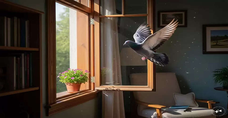 Understanding the Symbolism of Pigeons in Your Home
