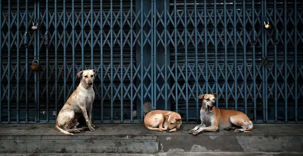 Australia Issues Warning on Counterfeit Rabies Vaccine in India