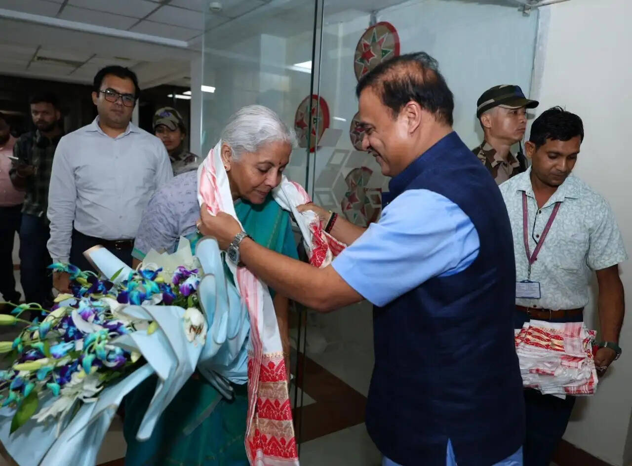 Northeast's Organic Agriculture Potential Highlighted by Finance Minister Sitharaman