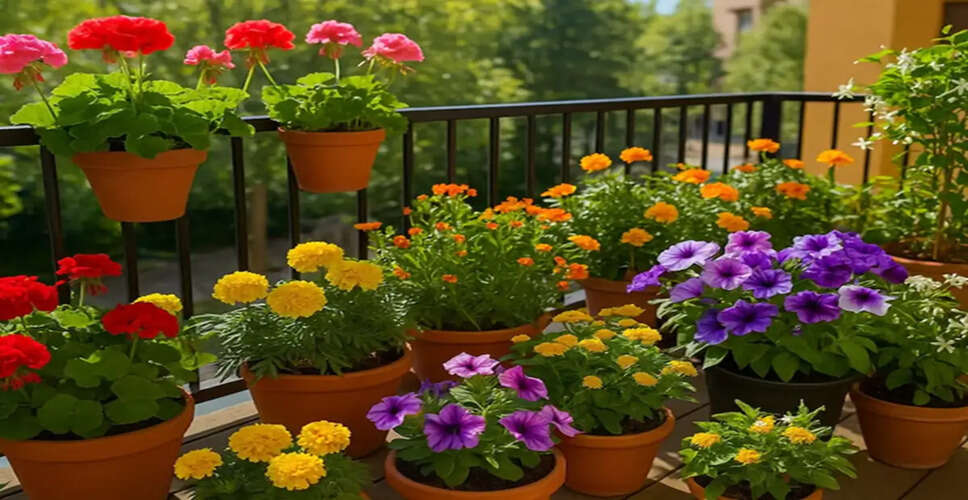Enhance Your Balcony with Vastu-Friendly Plants for Positive Energy