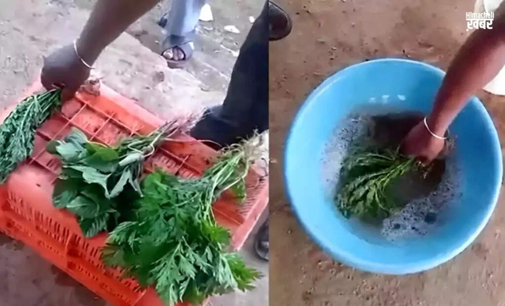 Beware of Chemical-Treated Vegetables: A Shocking Revelation