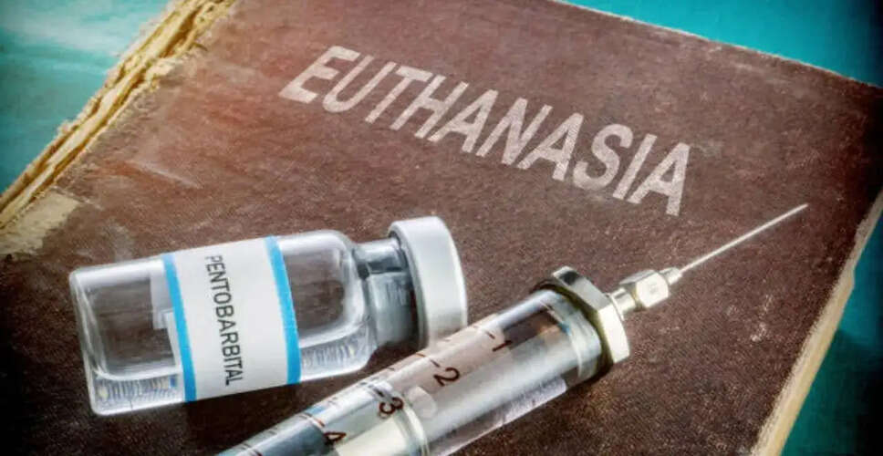 Jersey Island Approves Assisted Dying Law for Terminally Ill Adults