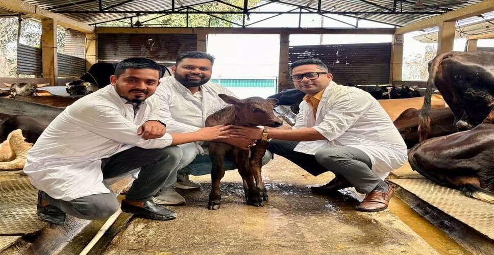 Assam Celebrates Birth of First IVF Calf: A Milestone in Dairy Science
