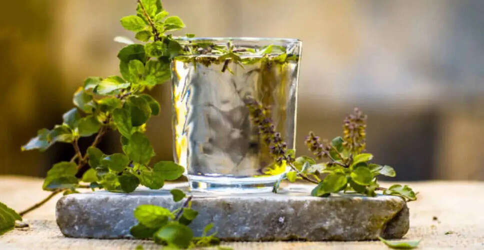 Exploring the Health Benefits of Tulsi Water for Respiratory Wellness