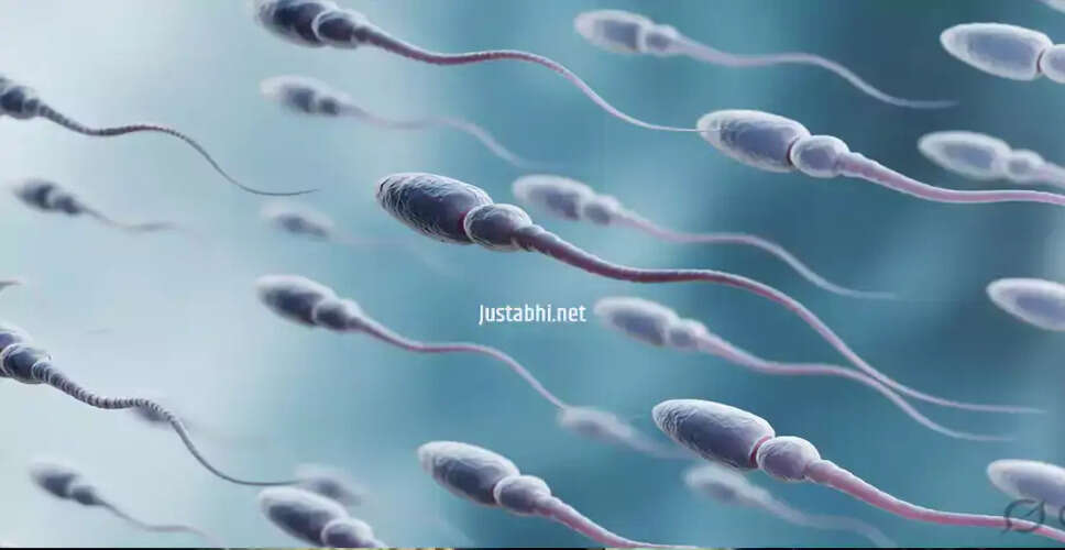 Understanding Semen: Myths, Composition, and Health Perspectives