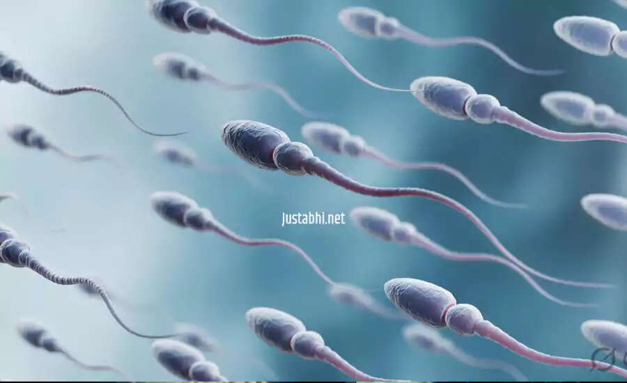 Understanding Semen: Myths, Composition, and Health Perspectives