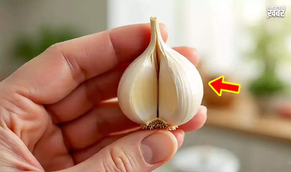 Health Benefits of Eating Garlic on an Empty Stomach