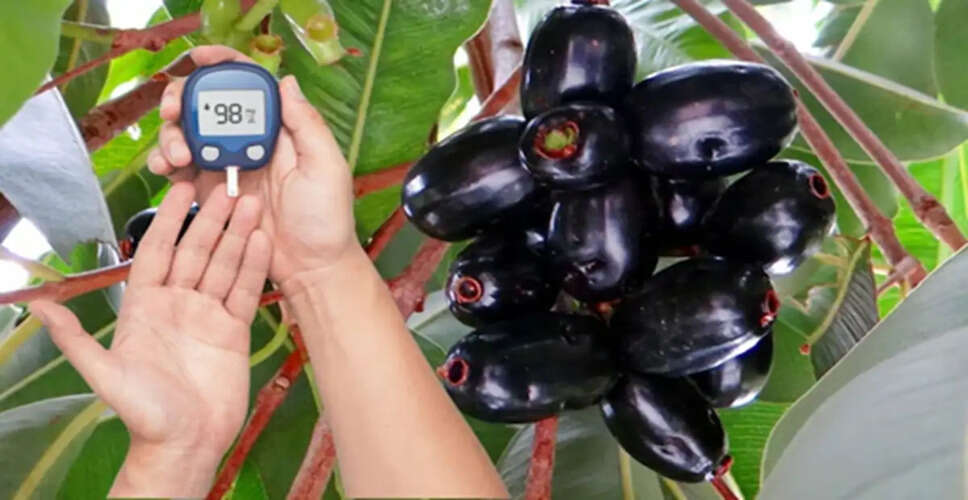 The Health Benefits of Jamun for Blood Sugar Management