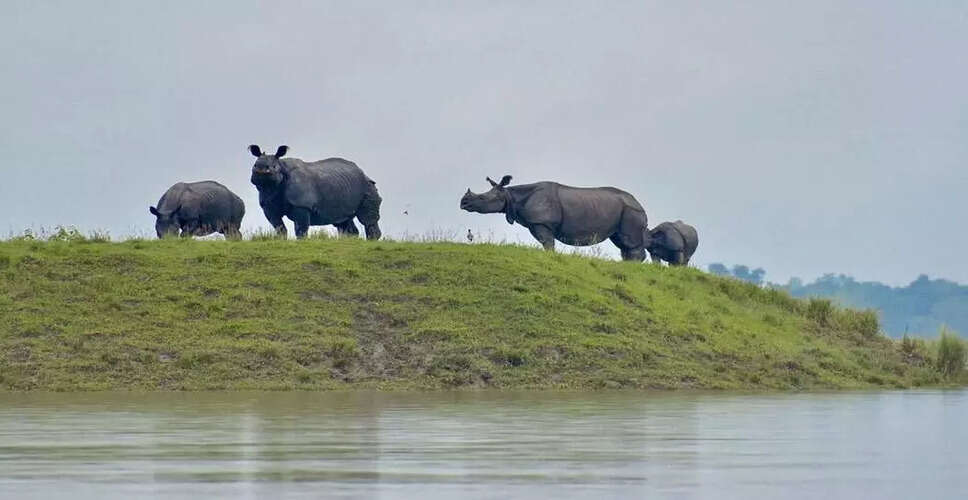 Kaziranga National Park Enhances Flood Preparedness Ahead of Monsoon