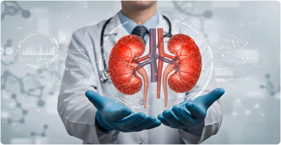 Understanding the Impact of Tomatoes on Kidney Stones