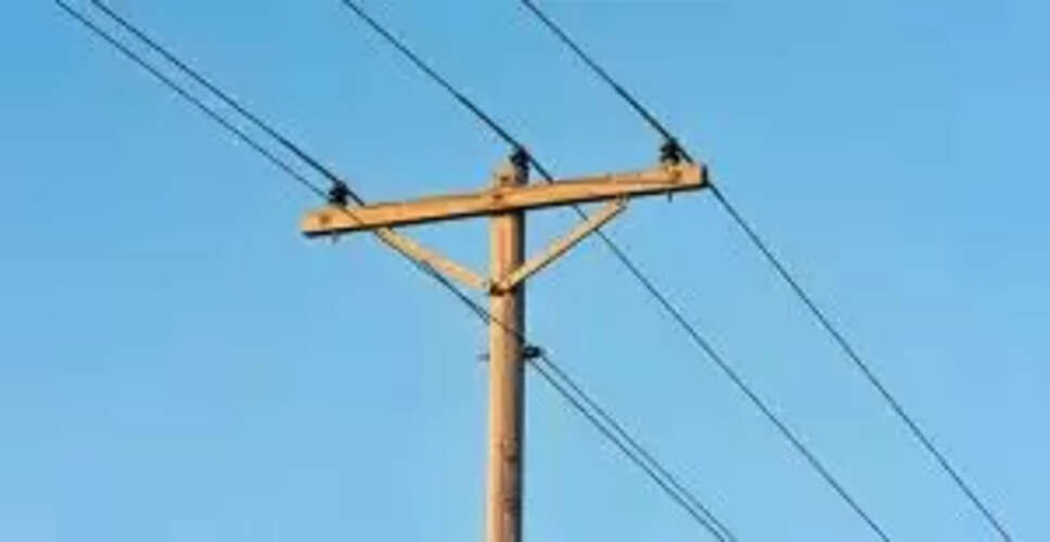 Electric Poaching Threatens Wildlife and Local Communities in Nayagarh