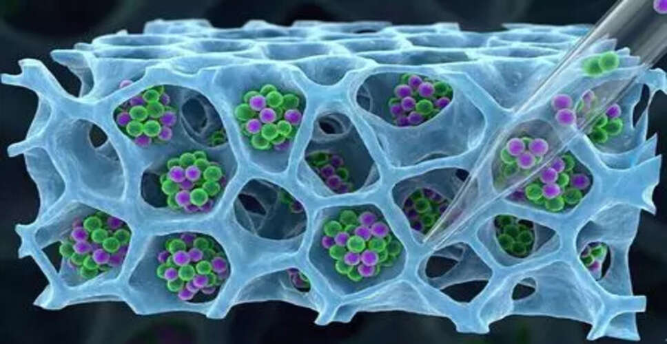 Innovative Method for T-Cell Recovery Developed by IIT Bombay Researchers