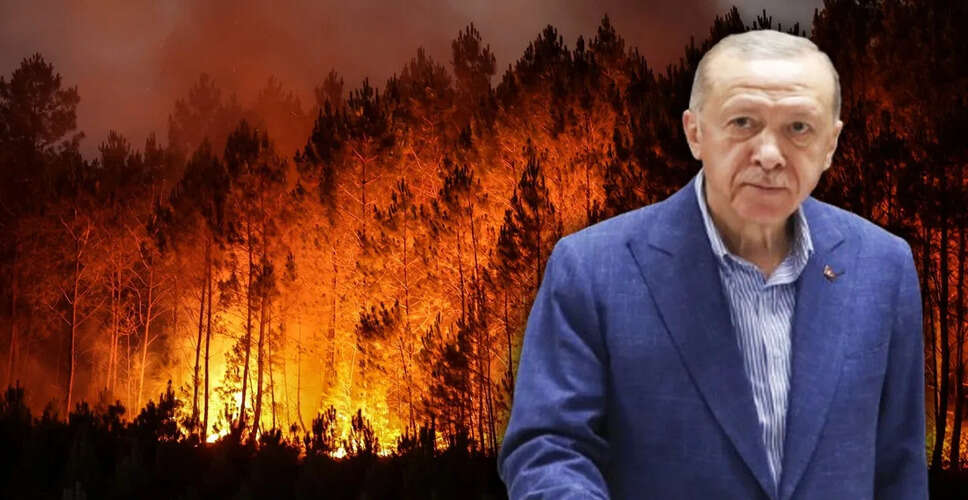Turkey's President Warns of Increased Wildfire Risks Amid Climate Change