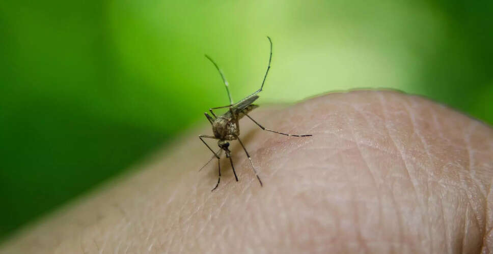 Challenges in Malaria Eradication in Assam Due to Anopheles Mosquitoes