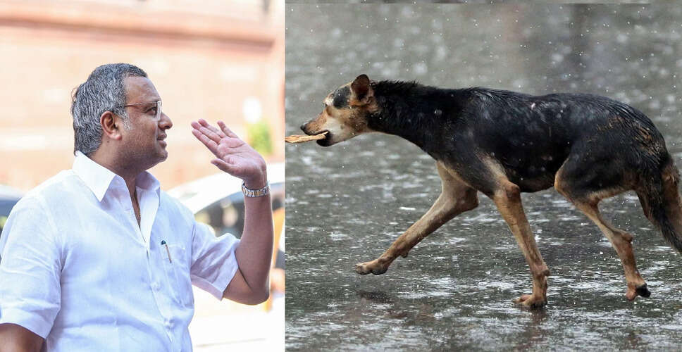 Urgent Call for Action as Stray Dog Attacks Surge in Tamil Nadu