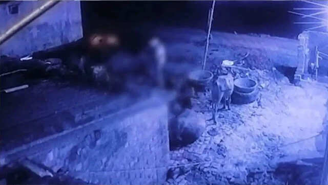 Shockingly Disturbing Incident Involving a Buffalo in UP