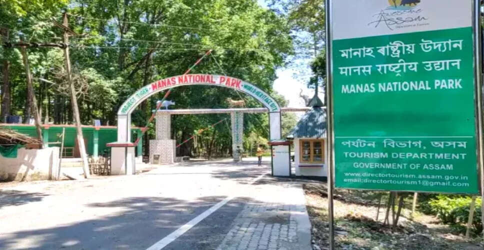 Encroachment Threatens Manas National Park's Critical Habitat