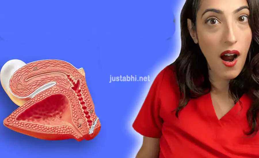 Understanding the G Spot: Science, Myths, and Expert Opinions