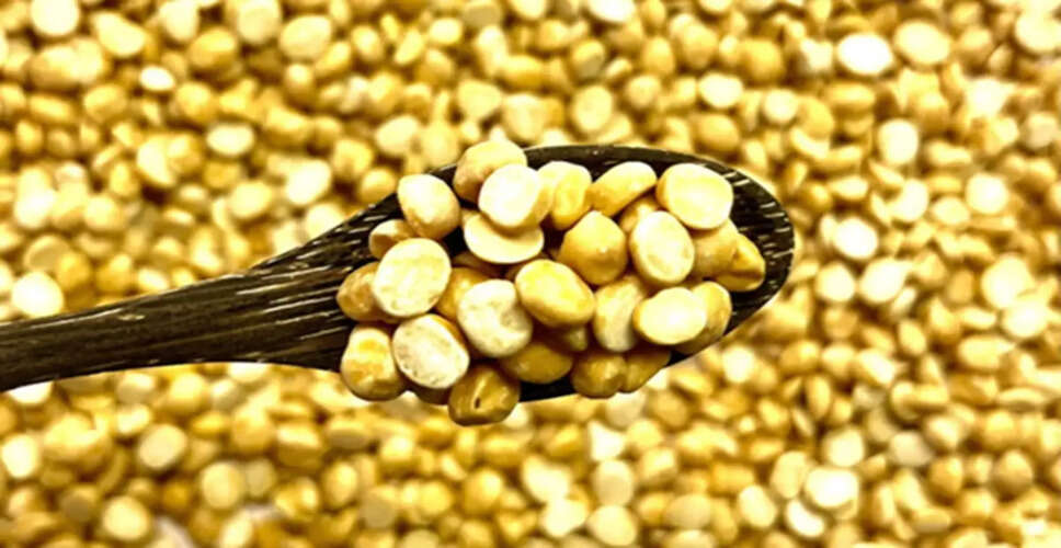 Chickpea Sattu vs. Barley Sattu: Which One Should You Choose This Summer?