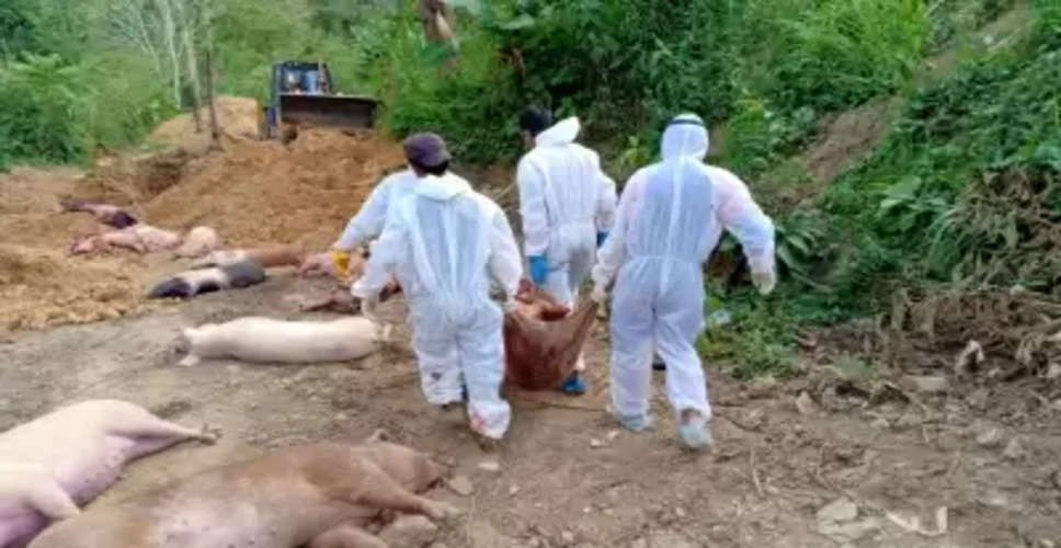Meghalaya district imposes curbs to tackle African Swine Fever