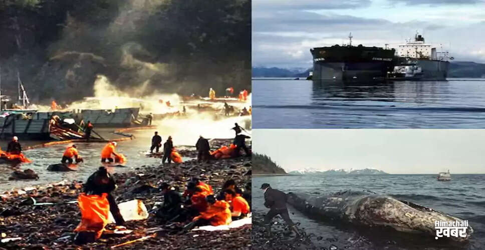 The Exxon Valdez Oil Spill: A Catastrophe That Changed the Environment