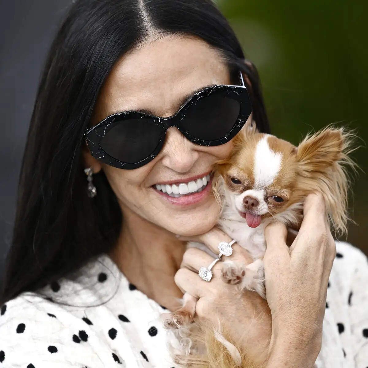 Famous Furry Friends: The Celebrity Pets Captivating Hearts Worldwide
