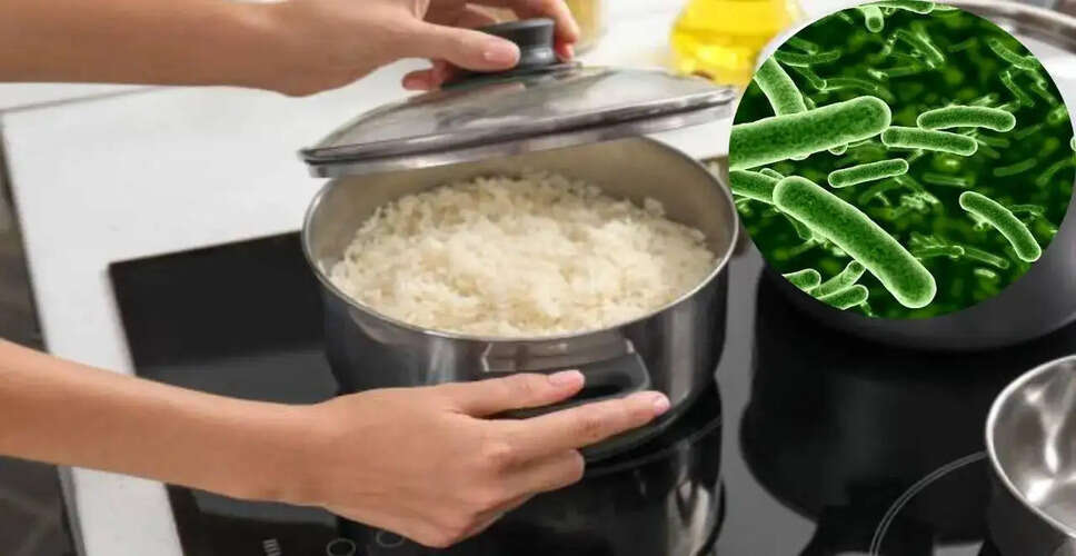 Essential Tips for Safely Reheating Leftover Rice
