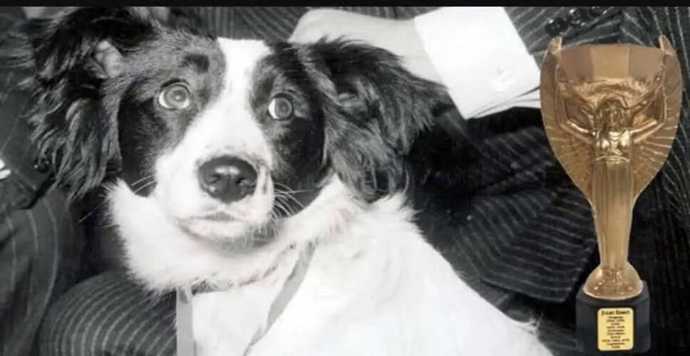 The Remarkable Tale of Pickles: How a Dog Saved the 1966 FIFA World Cup