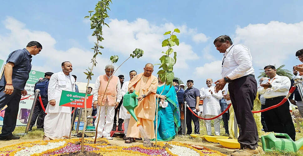 Mass Tree Plantation Drive in Uttar Pradesh: Over 37 Million Saplings Planted