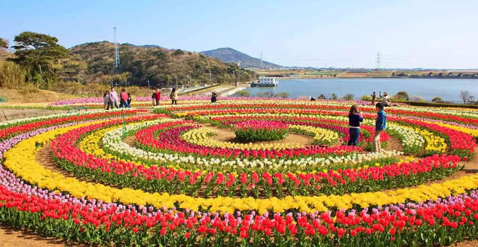 Discover the Enchantment of Kashmir's Tulip Garden