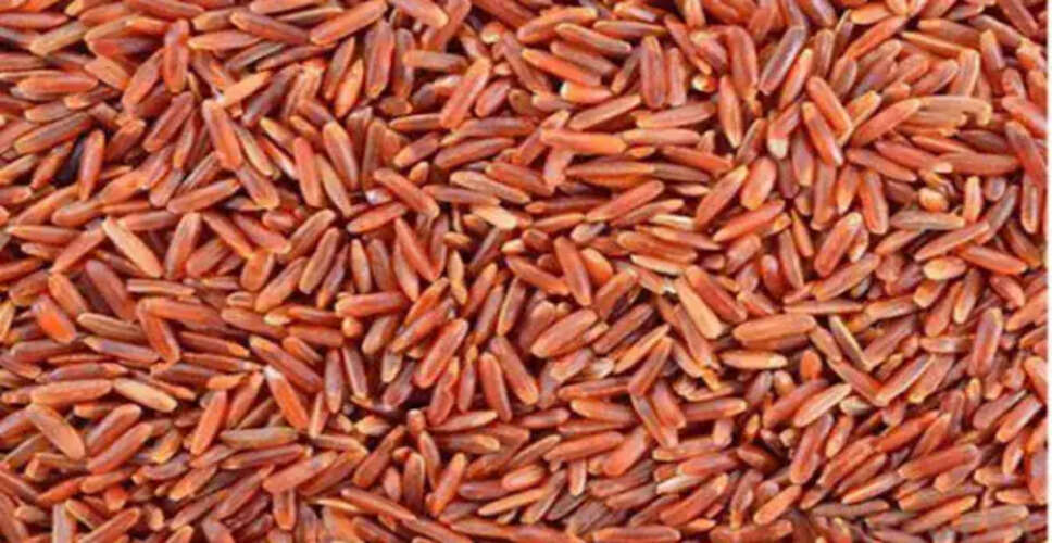 Discover the Benefits of Red Rice: A Nutritional Powerhouse