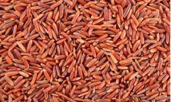 Discover the Benefits of Red Rice: A Nutritional Powerhouse