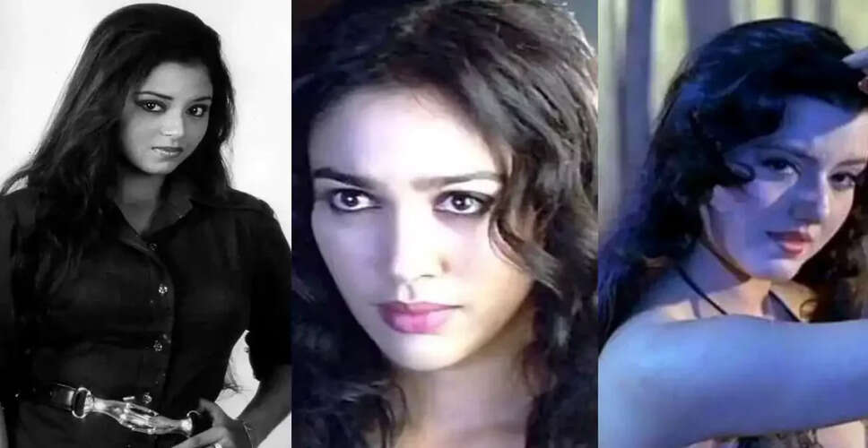 Bollywood Stars Who Mysteriously Disappeared Over the Years