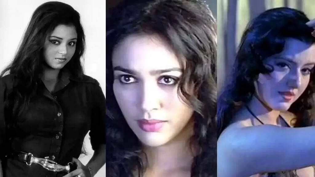 Bollywood Stars Who Mysteriously Disappeared Over the Years