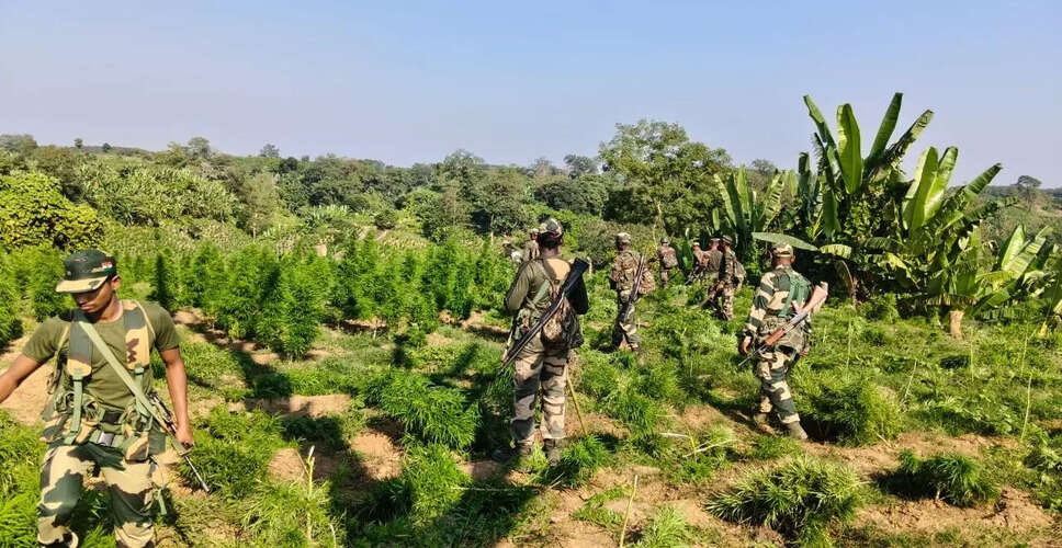 BSF Engages in Fatal Encounter with Suspected Smugglers at India-Bangladesh Border