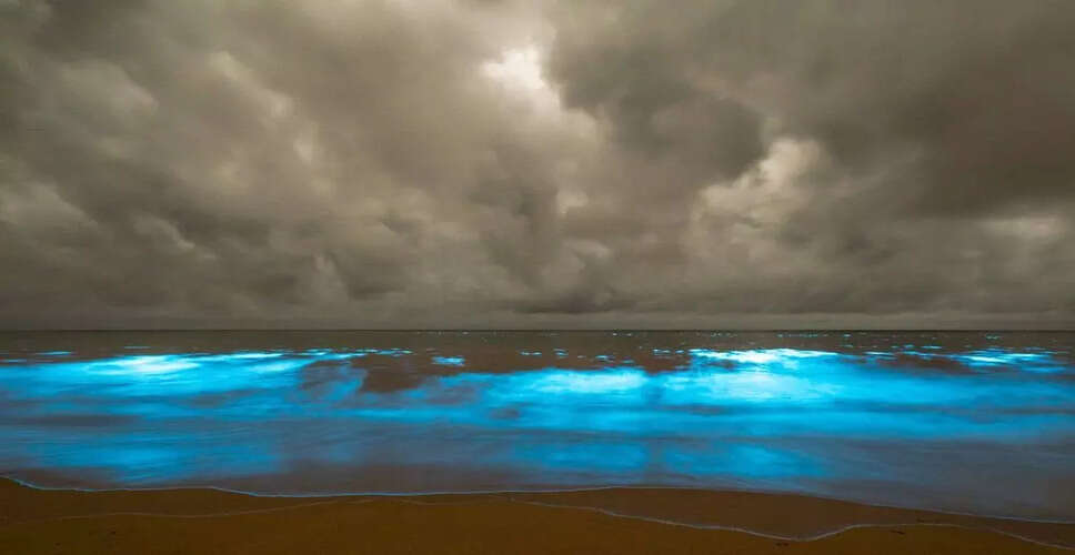 Bioluminescent Bloom in Tasmania Linked to Climate Change