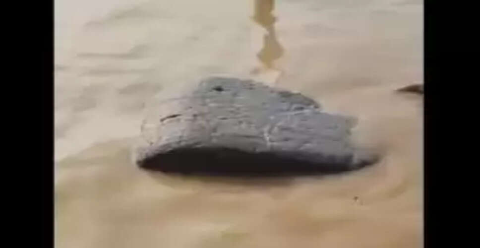 Is It a Miracle? Floating Stone in Ganga Sparks Worship in Ghazipur!