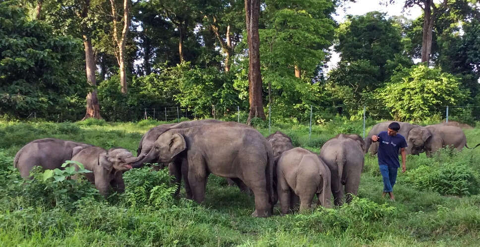 Celebrating 23 Years of Wildlife Conservation at Kaziranga's CWRC