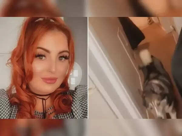 Drunken Night Leads to Surprising Encounter with Giant Dog