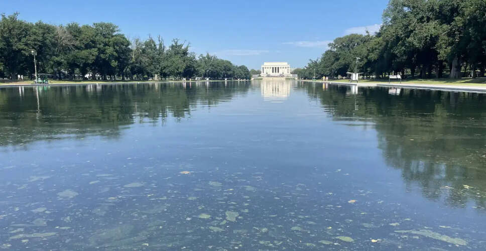 Unexpected Algae Growth in Lincoln Memorial Reflecting Pool After Renovation