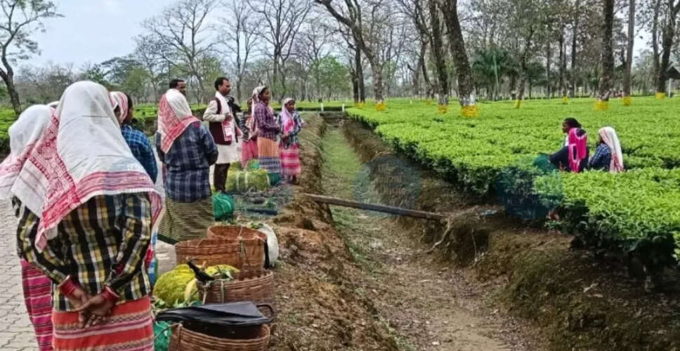 Duliajan Assembly Elections: Key Candidates and Emerging Dynamics