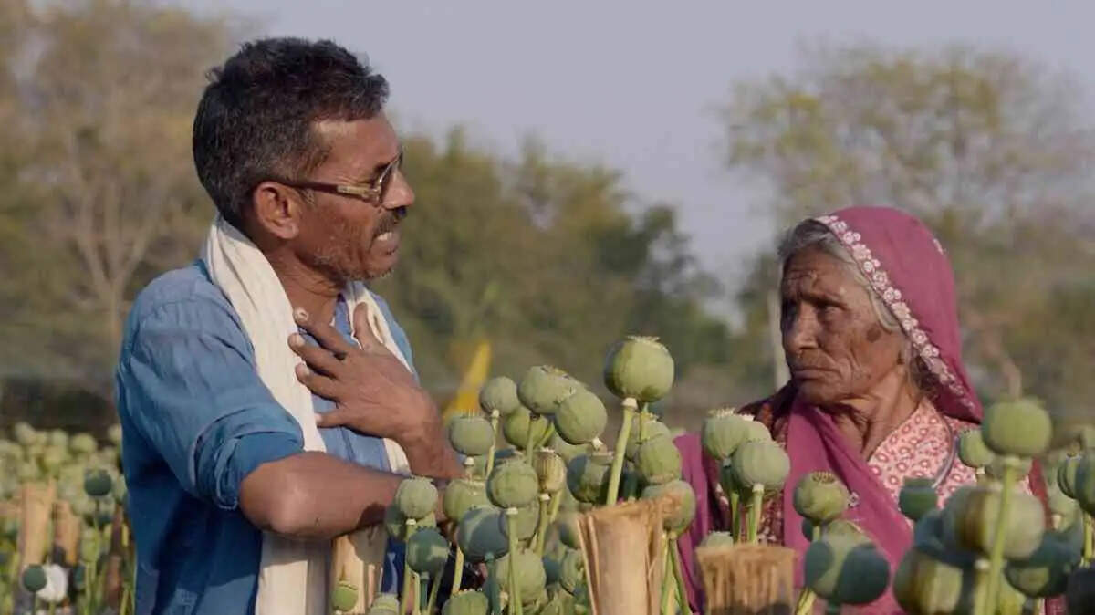 Exploring the Struggles of Opium Farmers in 'I, Poppy'