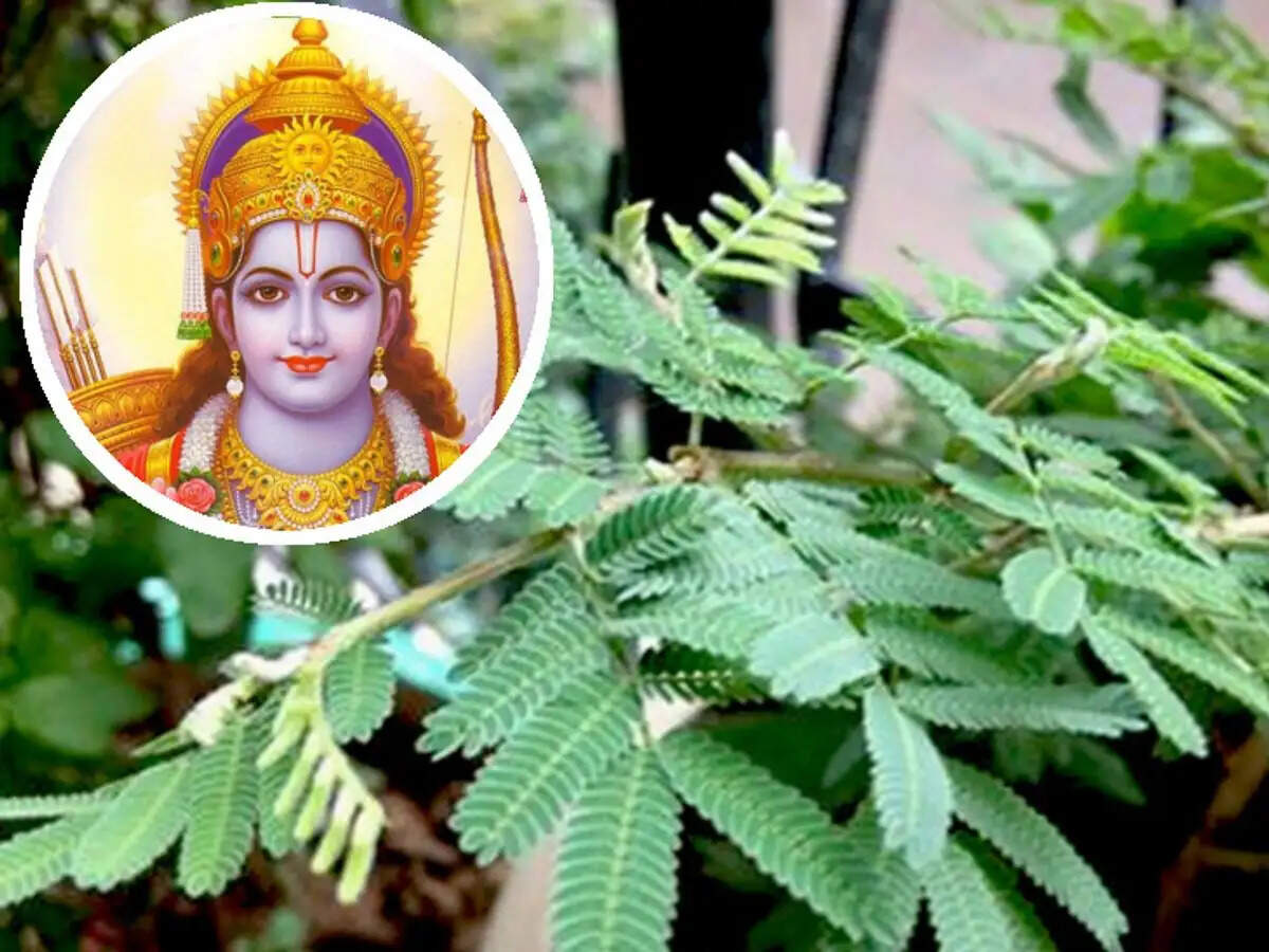 Celebrating Vijayadashami: Traditions and Significance