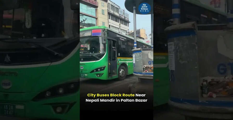 Captivating Visuals from Recent Event