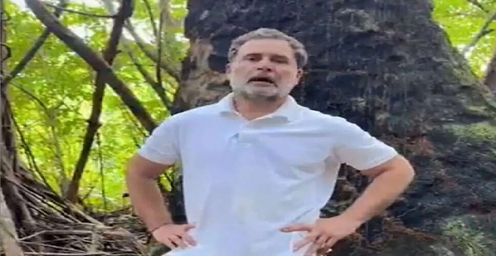 Rahul Gandhi Critiques Major Infrastructure Project in Great Nicobar