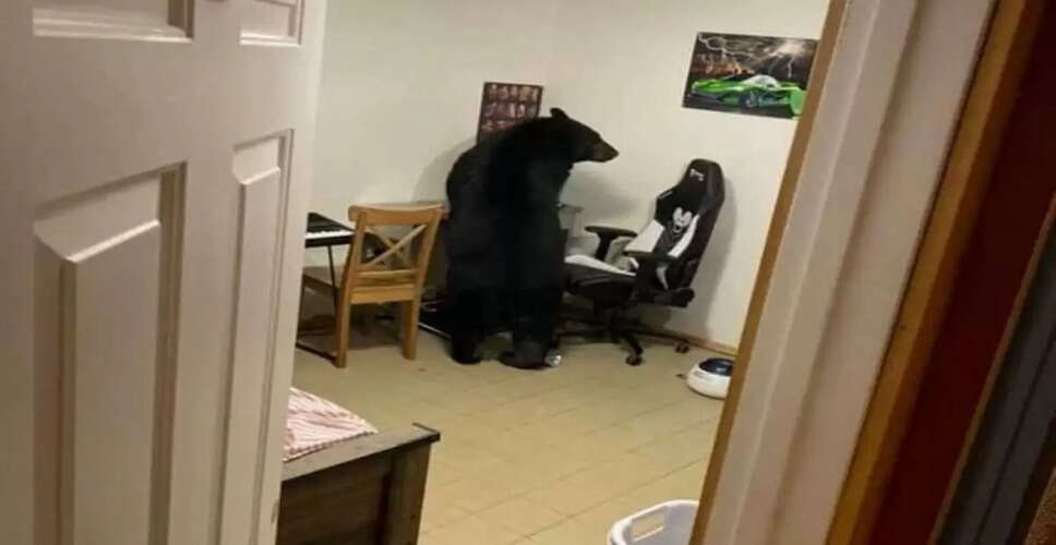 Family's Shocking Encounter with a Bear in Their Home